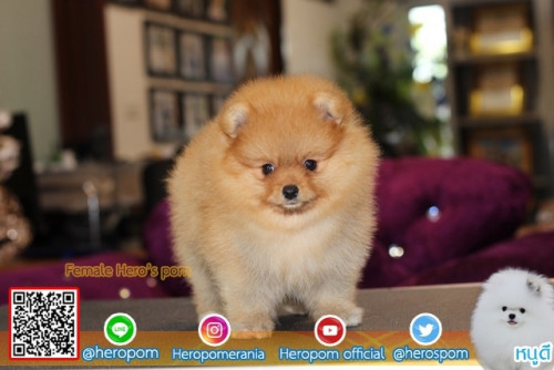 F11112 Edit 191112 0004