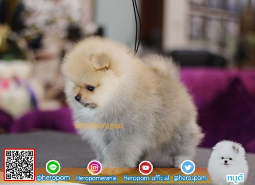 M11115 Edit 191112 0003