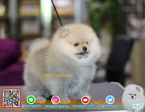 M11115 Edit 191112 0004