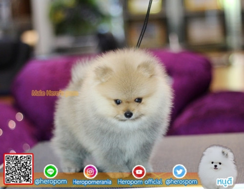 M11115 Edit 191112 0005