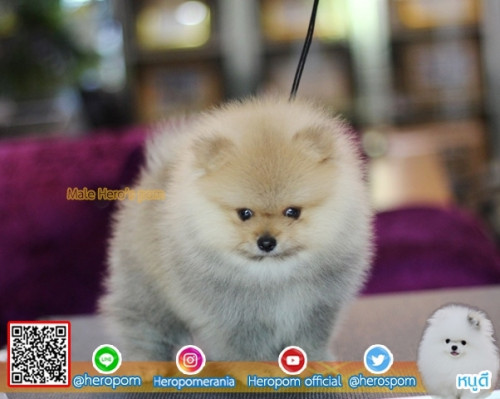 M11115 Edit 191112 0006