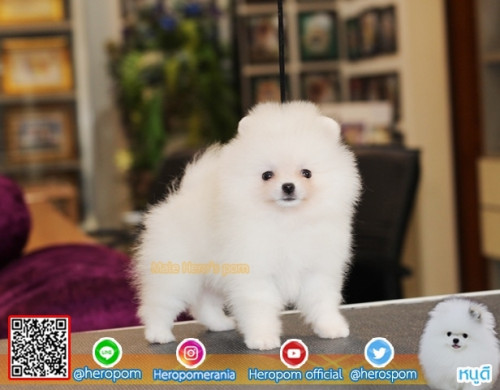 M11117 Edit 191112 0001