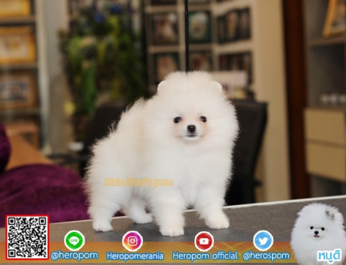 M11117 Edit 191112 0002