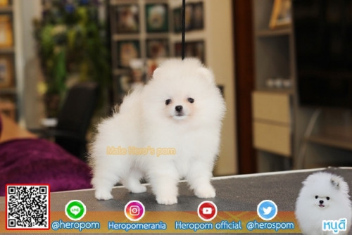 M11117 Edit 191112 0003