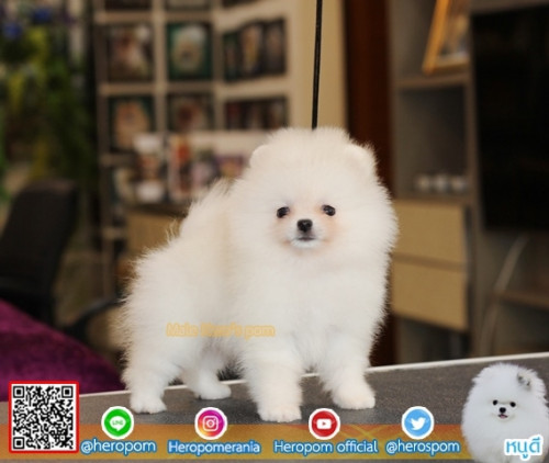 M11117 Edit 191112 0005