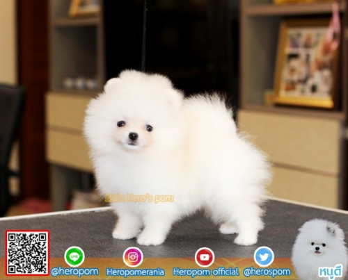 M11117 Edit 191112 0008