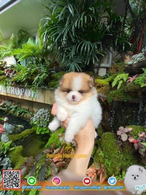 F13114 Edit 191113 0004