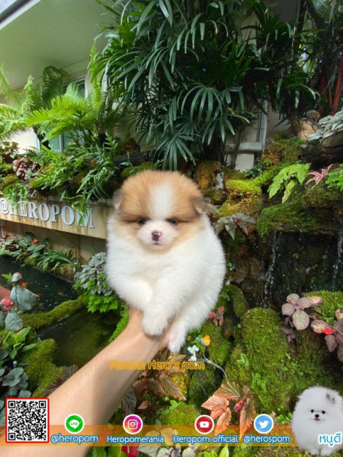 F13114 Edit 191113 0008