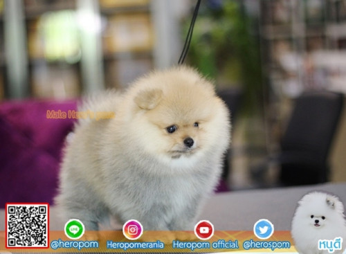 M11115 Edit 191112 0007