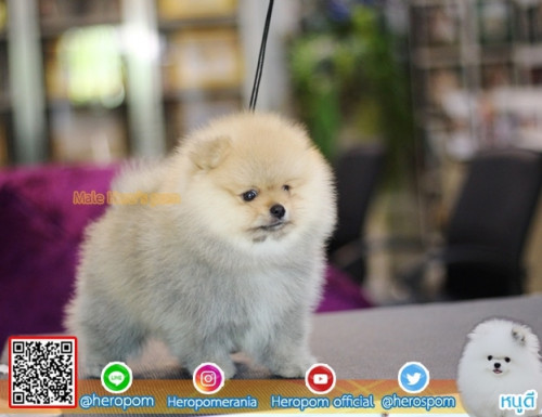 M11115 Edit 191112 0008