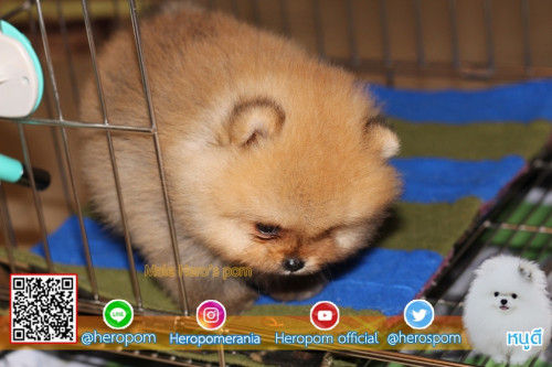 M18111 Edit 191118 0001