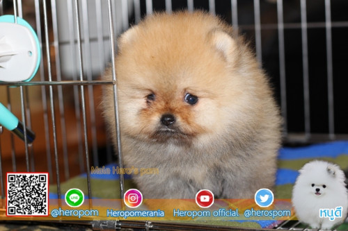 M18111 Edit 191118 0006