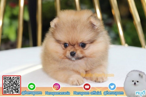 F23113 Edit 191123 0003