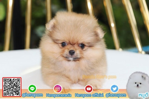 F23113 Edit 191123 0005