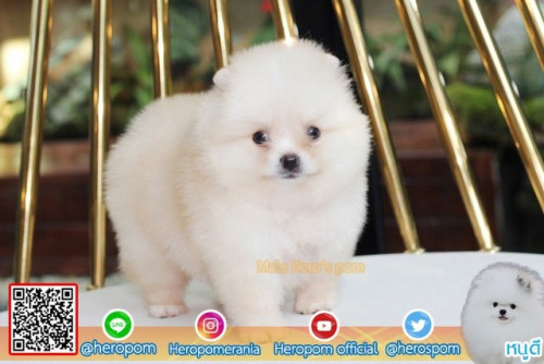 M23114 Edit 191123 0002