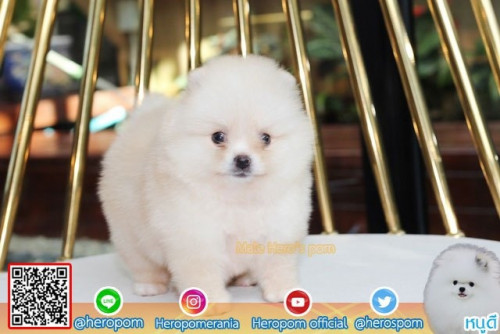 M23114 Edit 191123 0003