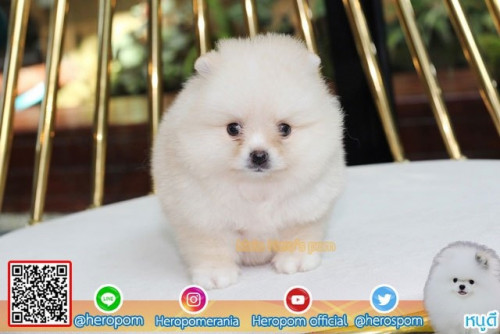 M23114 Edit 191123 0004