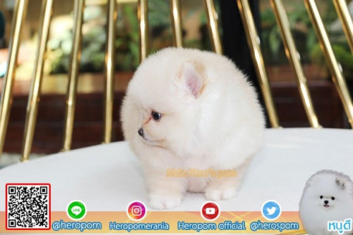 M23114 Edit 191123 0006