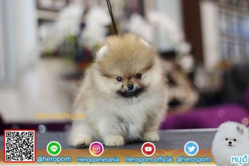 24112019 1 191126 0003