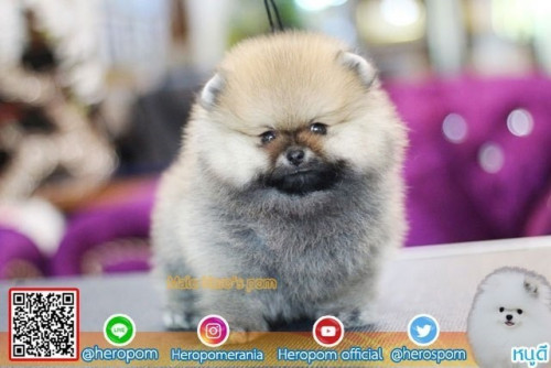 24112019 1 191126 0008