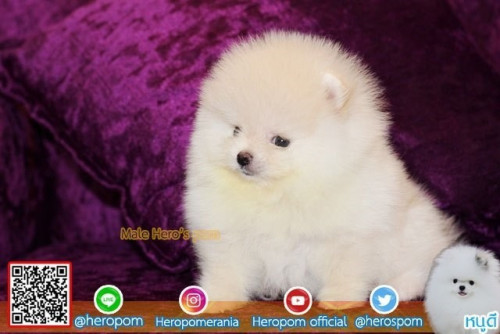 24112019 4 191126 0001