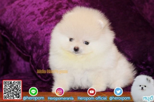 24112019 4 191126 0003