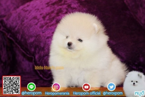 24112019 4 191126 0005