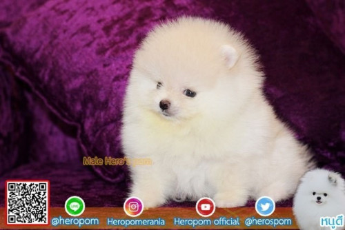 24112019 4 191126 0006