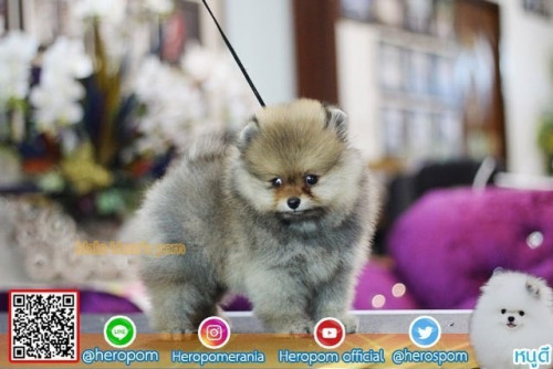 24112019 191126 0005