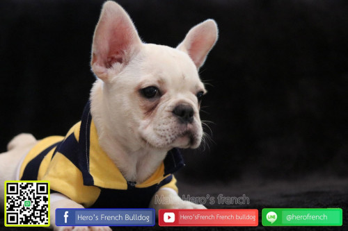 Fre M21111902 Edit 191122 0004