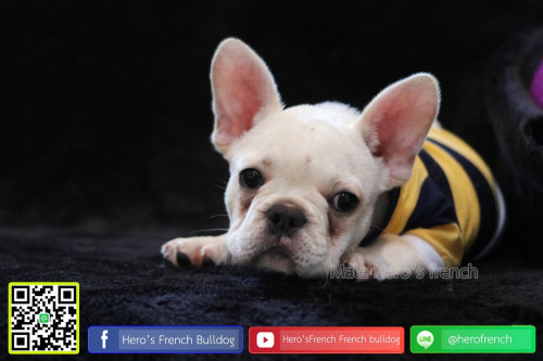 Fre M21111902 Edit 191122 0005