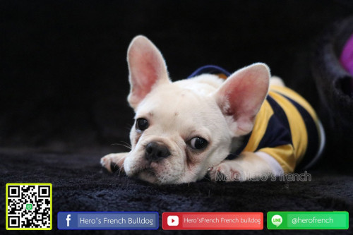 Fre M21111902 Edit 191122 0006