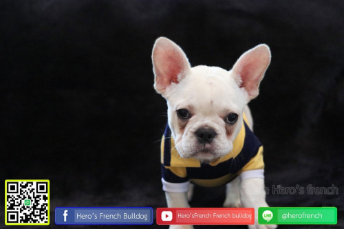 Fre M21111902 Edit 191122 0008