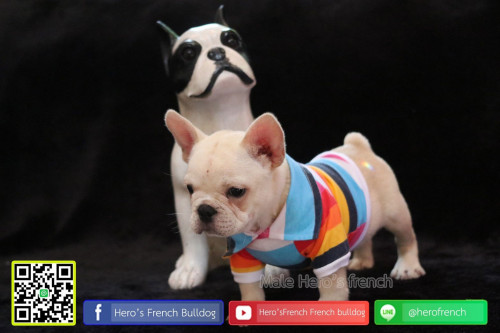 Fre M21111903 Edit 191122 0005