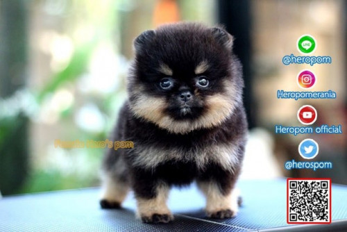 F011122 Edit 191201 0002