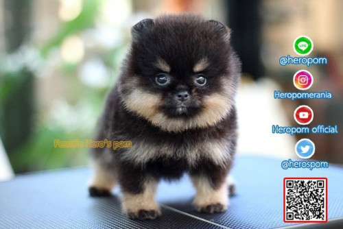 F011122 Edit 191201 0003