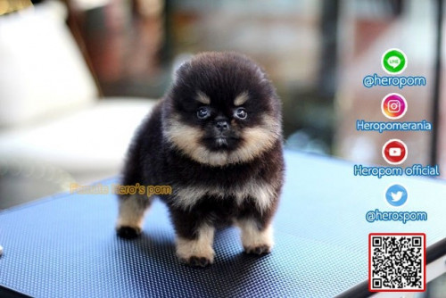 F011122 Edit 191201 0007