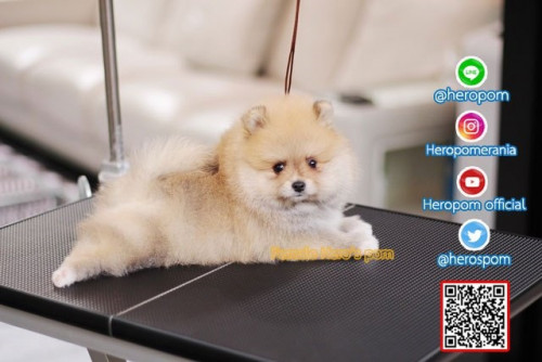 F011124 Edit 191201 0005