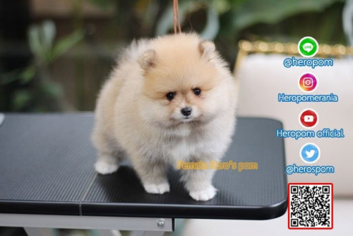 F011124 Edit 191201 0006