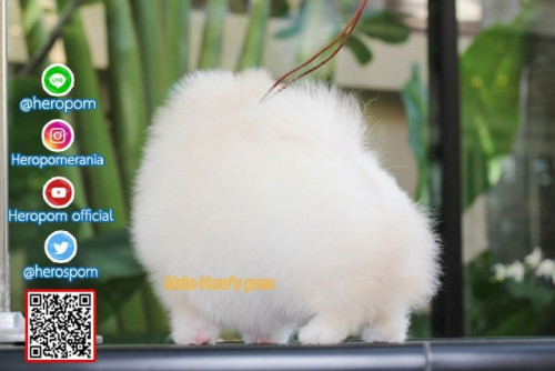 M011123 Edit 191201 0007