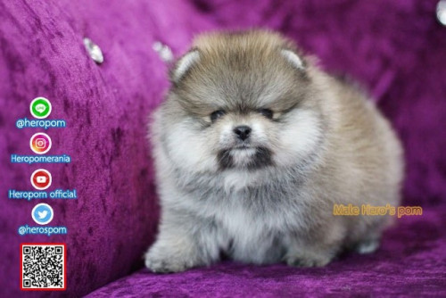 M02121 Edit 191202 0007