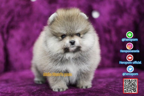 M02121 Edit 191202 0012