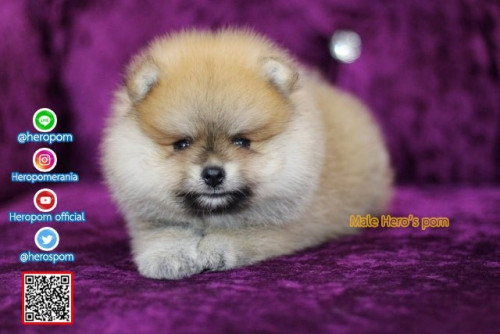 M02122 Edit 191202 0002