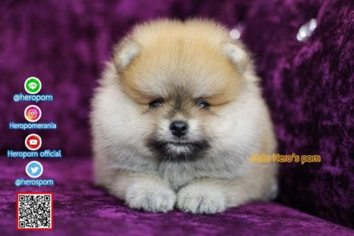 M02122 Edit 191202 0005