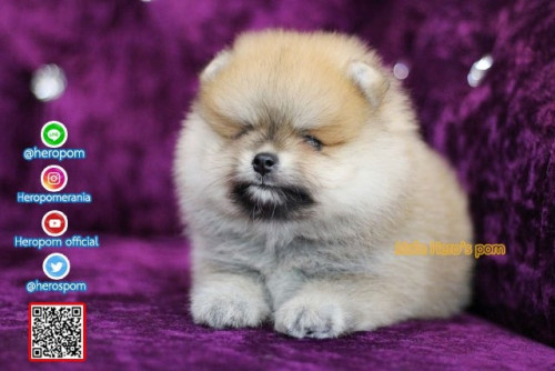 M02122 Edit 191202 0007