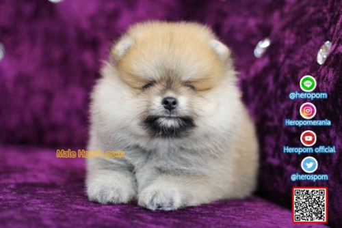 M02122 Edit 191202 0008