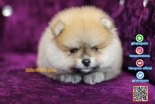 M02122 Edit 191202 0010