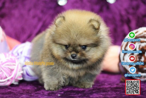 M02123 Edit 191202 0001