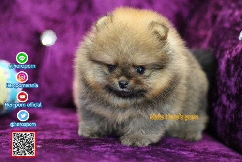 M02123 Edit 191202 0002