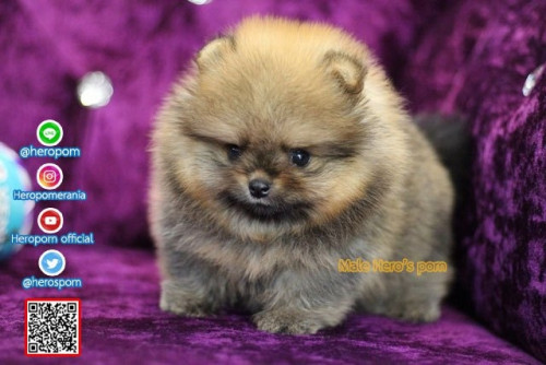 M02123 Edit 191202 0003